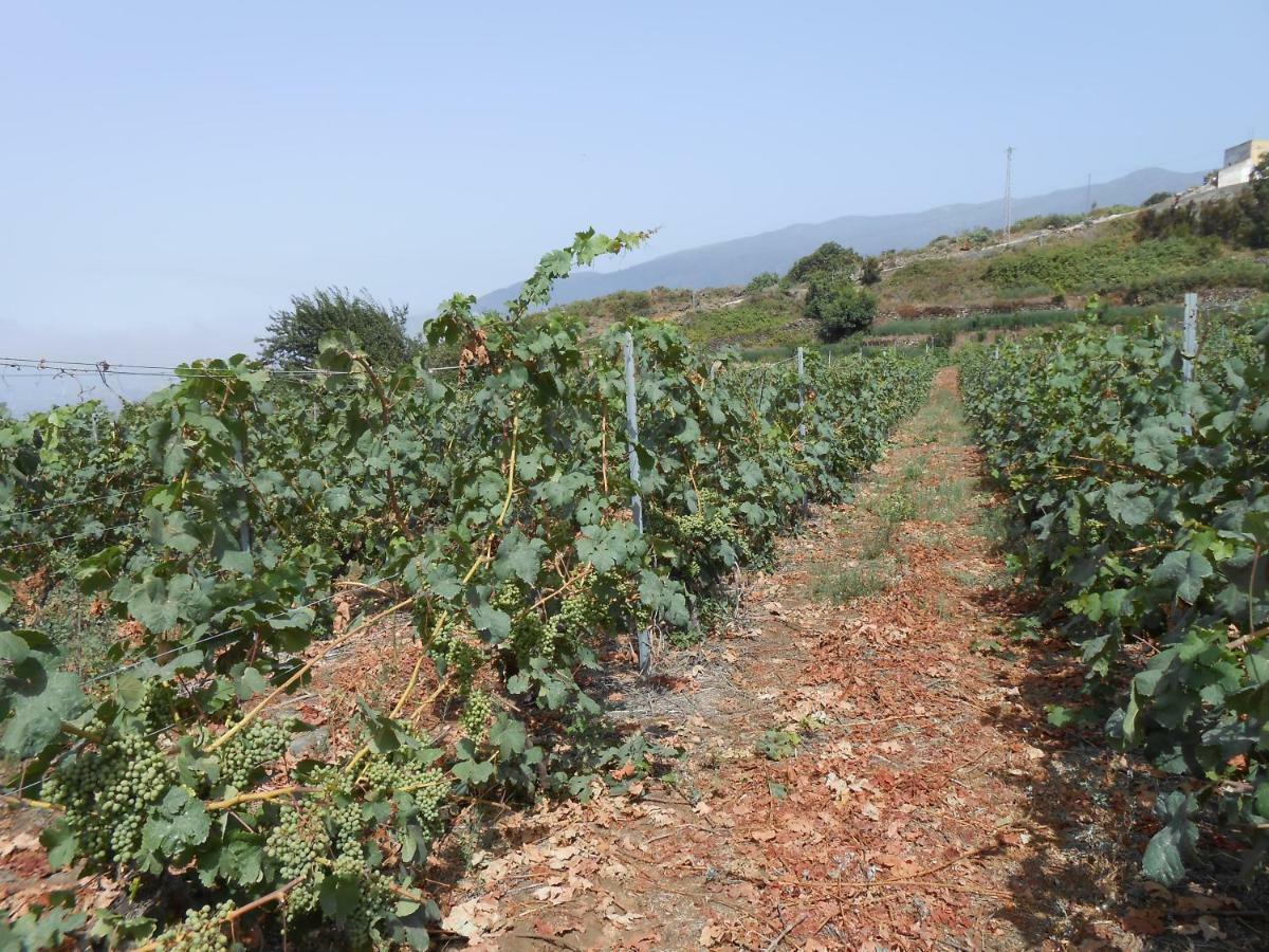 Casitas Las Uvas Y Las Vinas Лос Реалехос Екстериор снимка