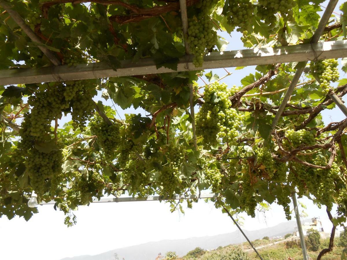 Casitas Las Uvas Y Las Vinas Лос Реалехос Екстериор снимка